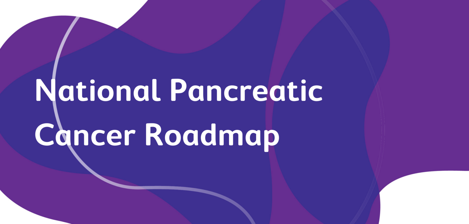 National pancreatic cancer roadmap