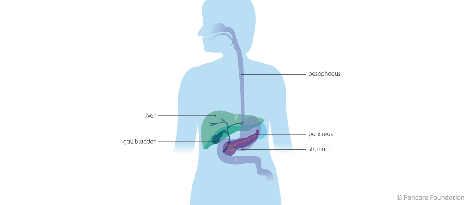 What is oesophageal cancer?
