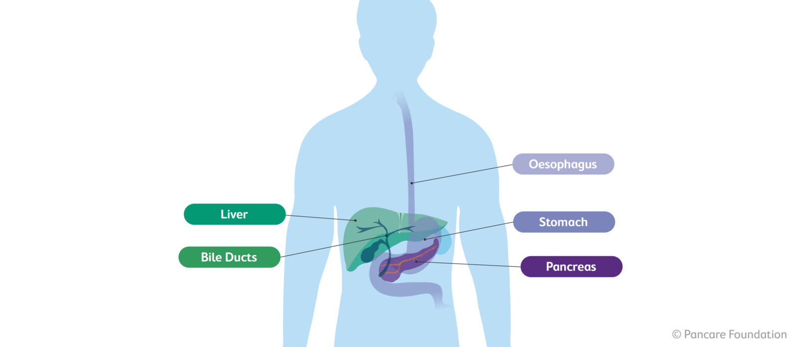 What is upper gastrointestinal cancer?